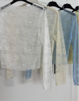 TOP ENCAJE MANGA LARGA